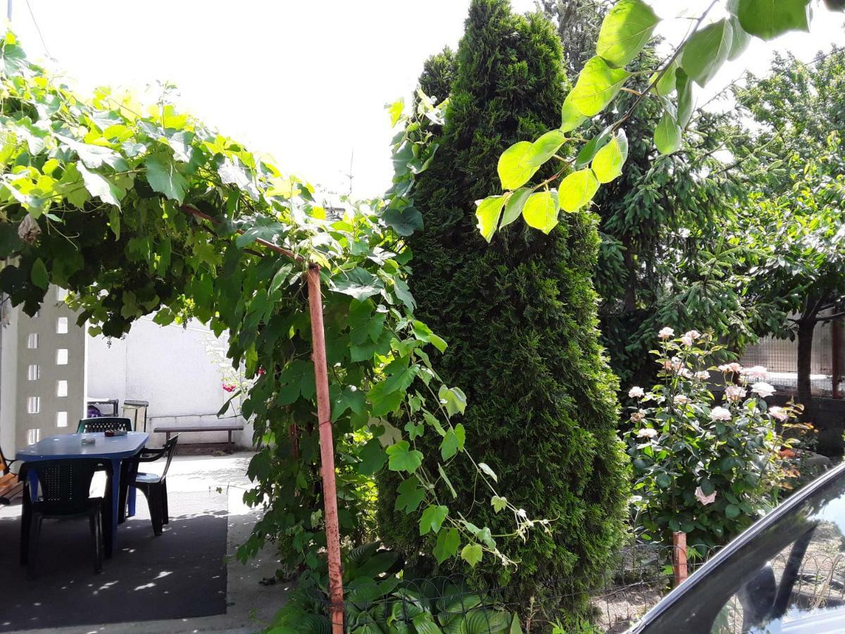 Old House Apartment Vama Veche Ngoại thất bức ảnh